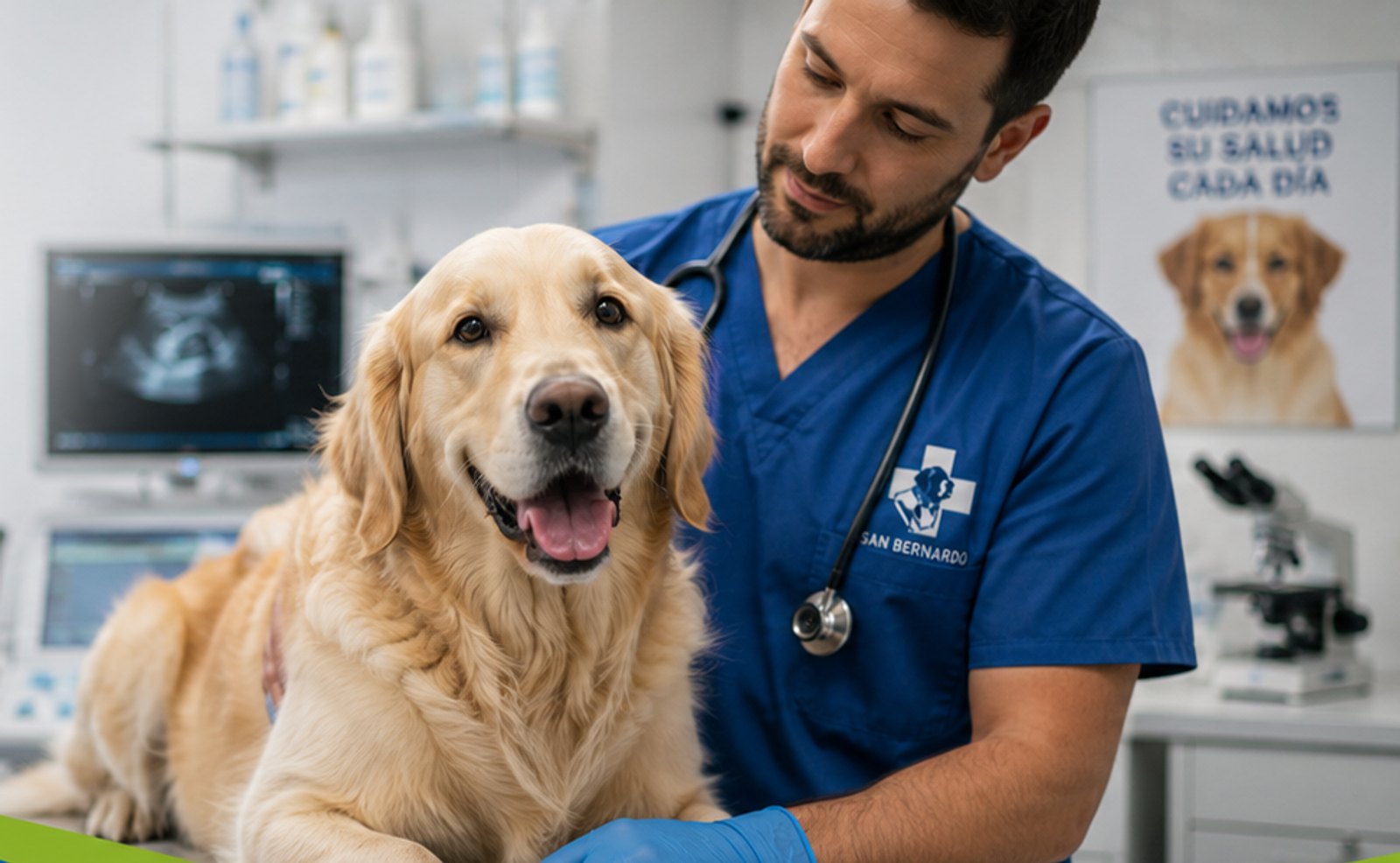 Clínica Veterinaria San Bernardo cuidando a una mascota
