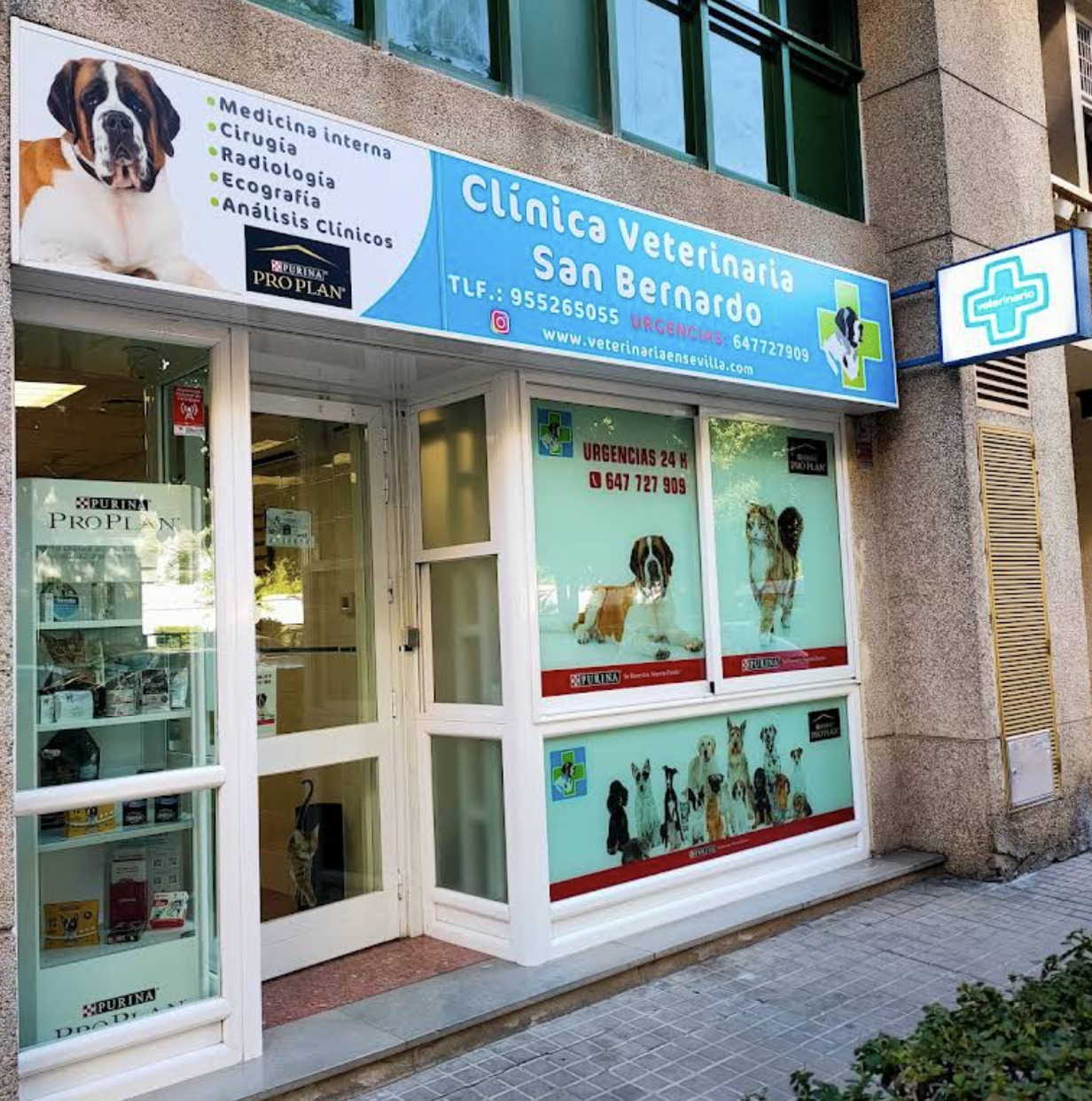 Clínica Veterinaria San Bernardo en Sevilla